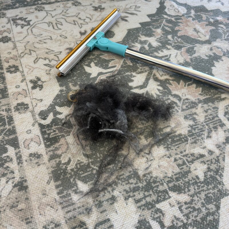 Close-up of the same Persian rug — a much larger, sprawling pile of black pet hair after twenty-two minutes of raking.